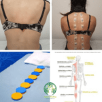 Biomagnetismo sesiones